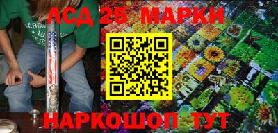 шишки Можга