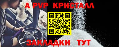шишки Можга