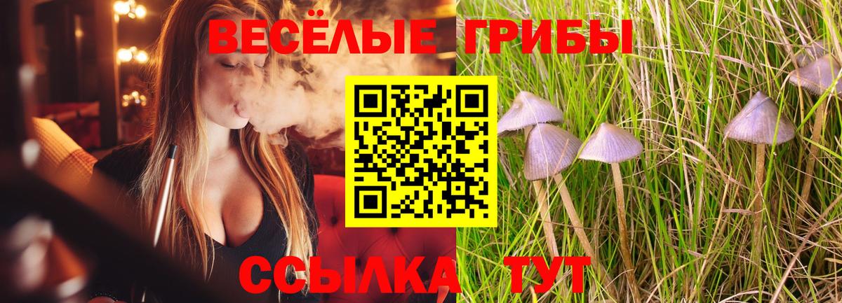 Галлюциногенные грибы прущие грибы Севастополь